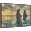 Amanti Art "Dolphin Dance" Framed Canvas Wall Art - 23" x 16" by Stuart Westmorland -Amanti Art Shop GUEST 0190cba5 0b57 4593 8441 9b6034b75a40