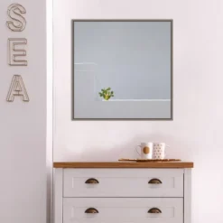 Amanti Art Solo Succulent by Rolf Endermann Framed Canvas Wall Art - 22" x 22" -Amanti Art Shop GUEST 02e0e5a3 8e99 427c a559 ad5ea08a171d