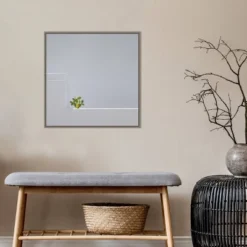 Amanti Art Solo Succulent by Rolf Endermann Framed Canvas Wall Art - 22" x 22" -Amanti Art Shop GUEST 09809f40 5ae0 4ffe 970a dc762b23adc2