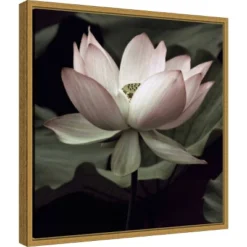 Amanti Art The Lotus I by Andy Neuwirth 16x16 Framed Canvas Wall Art
