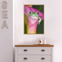 Amanti Art Australian Tree Frog in Flower Canvas Wall Art, 16x23 Framed -Amanti Art Shop GUEST 0b0d4cac c5d3 4af2 a07a a7bef8f88e28