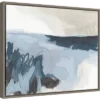 Amanti Art 20" x 16" Sea Shading II by June Erica Vess Framed Canvas Wall Art -Amanti Art Shop GUEST 10a724d6 f281 4727 9474 d542a674c703
