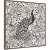 Amanti Art Miranda Thomas Peacock Garden III BW 22" x 22" Framed Canvas Wall Art - Gray Wash -Amanti Art Shop GUEST 11a8e335 21e7 49ec 8070 4bf3a38e65f7