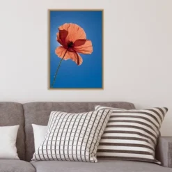 Amanti Art 16" x 23" Poppy Flower Framed Canvas Wall Art by Michele Niles -Amanti Art Shop GUEST 1da3249c f0db 4be4 bb15 7bb4ccc58a3a