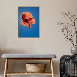 Amanti Art 16" x 23" Poppy Flower Framed Canvas Wall Art by Michele Niles -Amanti Art Shop GUEST 1efdc793 7615 477c 8234 bb327fffe9a0