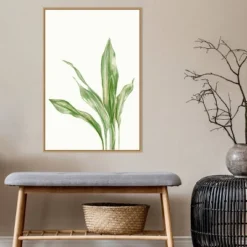 Amanti Art Cast Iron Plant II by Errico & Slyp Framed Canvas Wall Art - 23" x 33" 15 Amanti Art Cast Iron Plant II by Errico & Slyp Framed Canvas Wall Art - 23" x 33" -Amanti Art Shop GUEST 1fcf2c43 403c 4b8b 9cc8 387ef778a949