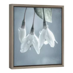 Amanti Art Japanese Snowbell Tree Blossoms Framed Canvas Wall Art - 16" x 16"