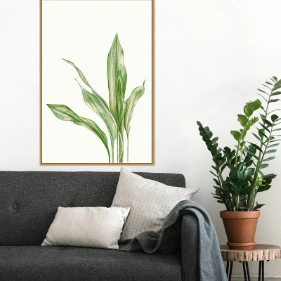 Amanti Art Cast Iron Plant II by Errico & Slyp Framed Canvas Wall Art - 23" x 33" 8 Amanti Art Cast Iron Plant II by Errico & Slyp Framed Canvas Wall Art - 23" x 33" - Image 6