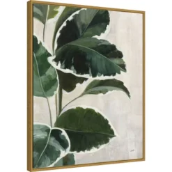 Amanti Art "Tropical Study I" by Julia Purinton Gold Framed Canvas Wall Art