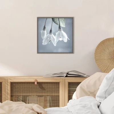 16" X 16" Japanese Snowbell Tree Blossoms By Jaynes Gallery Danita Delimont Framed Canvas Wall Art - Amanti Art 6 16" X 16" Japanese Snowbell Tree Blossoms By Jaynes Gallery Danita Delimont Framed Canvas Wall Art - Amanti Art - Image 4