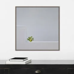 Amanti Art Solo Succulent by Rolf Endermann Framed Canvas Wall Art - 22" x 22" -Amanti Art Shop GUEST 4241cac6 08a1 4981 946f 7eb5ad72a5f4