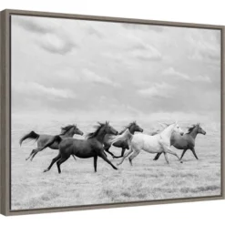 Amanti Art "Horse Run I" by PH Burchett - 24" x 18" Framed Canvas Wall Art