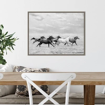Amanti Art "Horse Run I" by PH Burchett - 24" x 18" Framed Canvas Wall Art 5 Amanti Art "Horse Run I" by PH Burchett - 24" x 18" Framed Canvas Wall Art - Image 3