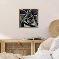 16" X 16" Seattle Succulents By Gary Horsfall Framed Canvas Wall Art - Amanti Art -Amanti Art Shop GUEST 46fbe88a 2855 4ae6 991c 28561b64b908