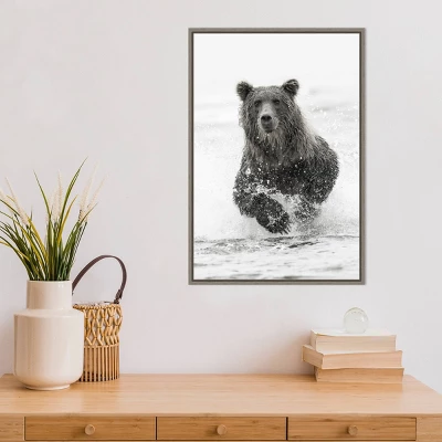 Amanti Art Bear Fishing For Salmon Framed Canvas Wall Art by Adam Jones 7 Amanti Art Bear Fishing For Salmon Framed Canvas Wall Art by Adam Jones - Image 5