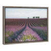Amanti Art Velours De Lavender Framed Canvas Wall Art by Margarita Chernilova 2 Amanti Art Velours De Lavender Framed Canvas Wall Art by Margarita Chernilova -Amanti Art Shop GUEST 4901f0b8 b4eb 4ead aa4a 3597ecbb5001