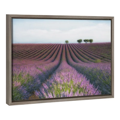 Amanti Art Velours De Lavender Framed Canvas Wall Art by Margarita Chernilova 3 Amanti Art Velours De Lavender Framed Canvas Wall Art by Margarita Chernilova