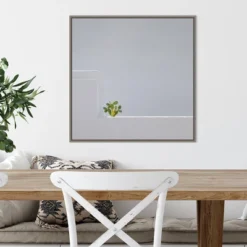 Amanti Art Solo Succulent by Rolf Endermann Framed Canvas Wall Art - 22" x 22" -Amanti Art Shop GUEST 503c2573 0d92 46a2 85f3 586a066bc7c5