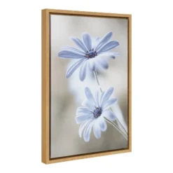 Amanti Art Cape Daisies 16" x 23" Framed Canvas Wall Art by Mandy Disher