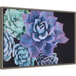 Amanti Art Abundance Succulent by Alana Clumeck - 23" x 16" Framed Canvas