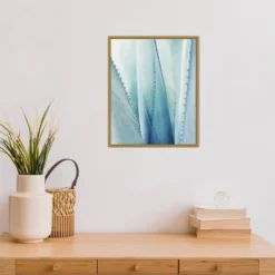 Amanti Art Pale Agave No. 1 by Lupen Grainne - 16" x 20" Framed Canvas Wall Art 9 Amanti Art Pale Agave No. 1 by Lupen Grainne - 16" x 20" Framed Canvas Wall Art -Amanti Art Shop GUEST 5ca8b4c0 e72d 43ba 8518 39be3b7a7555