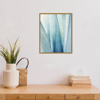 Amanti Art Pale Agave No. 1 by Lupen Grainne - 16" x 20" Framed Canvas Wall Art 5 Amanti Art Pale Agave No. 1 by Lupen Grainne - 16" x 20" Framed Canvas Wall Art - Image 3
