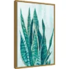 Amanti Art Eva Watts Variegated Snake Plant Framed Canvas Wall Art -Amanti Art Shop GUEST 61078d3c 81ca 4b87 aba9 4792463b1c0e