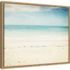 Amanti Art In The Clear by Lupen Grainne Framed Canvas Wall Art (20" x 16") -Amanti Art Shop GUEST 649d1aca ec09 4503 b931 1c9d6bba4e9d