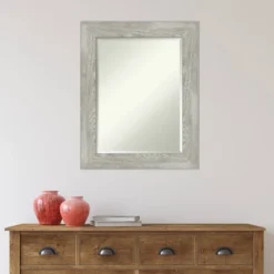 24" X 30" Dove Framed Wall Mirror Graywash - Amanti Art -Amanti Art Shop GUEST 650b6d25 f880 43f1 a426 690c17650e59