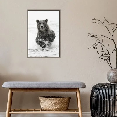 Amanti Art Bear Fishing For Salmon Framed Canvas Wall Art by Adam Jones 8 Amanti Art Bear Fishing For Salmon Framed Canvas Wall Art by Adam Jones - Image 6