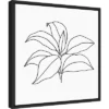 Amanti Art Foliage Contour III by Annie Warren 16" x 16" Framed Canvas Wall Art 1 Amanti Art Foliage Contour III by Annie Warren 16" x 16" Framed Canvas Wall Art -Amanti Art Shop GUEST 74045358 a599 4443 8d34 beea7049dd15