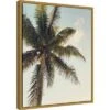 Amanti Art 16" x 20" Coconut Palm by Olivia Joy Framed Canvas Wall Art 1 Amanti Art 16" x 20" Coconut Palm by Olivia Joy Framed Canvas Wall Art -Amanti Art Shop GUEST 75542081 6a61 4dd0 9da2 9f15d56570fc