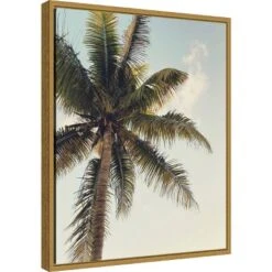 Amanti Art 16" x 20" Coconut Palm by Olivia Joy Framed Canvas Wall Art
