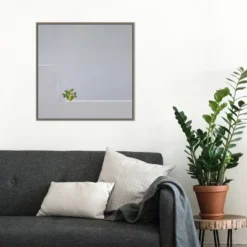 Amanti Art Solo Succulent by Rolf Endermann Framed Canvas Wall Art - 22" x 22" -Amanti Art Shop GUEST 76ada549 0a3d 4937 a29e 669a63ba2dbb