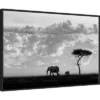 Amanti Art Elephant Silhouettes at Maasai Mara by 1x Framed Canvas Art - 33" x 22" Black 1 Amanti Art Elephant Silhouettes at Maasai Mara by 1x Framed Canvas Art - 33" x 22" Black -Amanti Art Shop GUEST 798eaa66 ccda 4845 9d2a d94b07800104