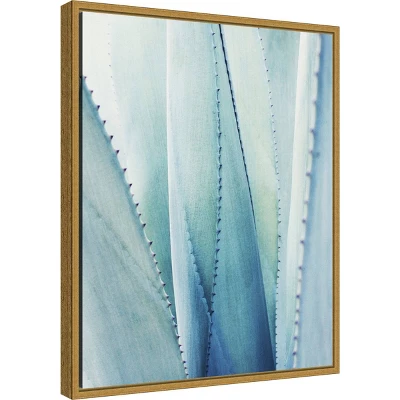 Amanti Art Pale Agave No. 1 by Lupen Grainne - 16" x 20" Framed Canvas Wall Art 3 Amanti Art Pale Agave No. 1 by Lupen Grainne - 16" x 20" Framed Canvas Wall Art
