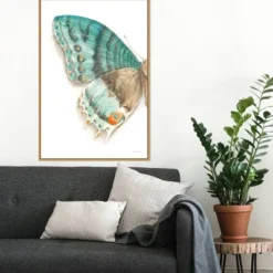 22" X 33" Fragile Wings III By Danhui Nai Framed Canvas Wall Art Light Brown - Amanti Art -Amanti Art Shop GUEST 848ceda7 363f 4317 b3f9 929502efc450