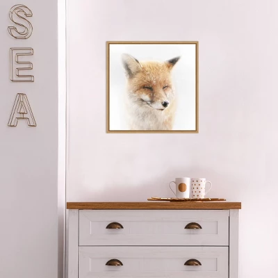 Amanti Art Satisfied Fox by Doris Reindl - 16" x 16" Sylvie Maple Framed Canvas 5 Amanti Art Satisfied Fox by Doris Reindl - 16" x 16" Sylvie Maple Framed Canvas - Image 3