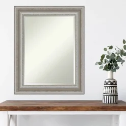 24" X 30" Parlor Framed Wall Mirror Silver - Amanti Art -Amanti Art Shop GUEST 89e708cc 909b 4ad3 b21d 59b9cff278ac