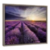 24"x18" Lavender Sunrise Framed Canvas Wall Art - Amanti Art -Amanti Art Shop GUEST 8e109118 38ea 4ce6 b75b c8b17319a505