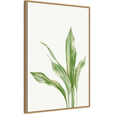 Amanti Art Cast Iron Plant II by Errico & Slyp Framed Canvas Wall Art - 23" x 33" 3 Amanti Art Cast Iron Plant II by Errico & Slyp Framed Canvas Wall Art - 23" x 33"