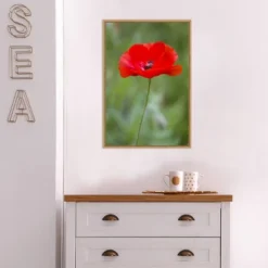 Amanti Art Red Poppy Flower Framed Canvas Wall Art by Richard & Susan Day - 16" x 23" 12 Amanti Art Red Poppy Flower Framed Canvas Wall Art by Richard & Susan Day - 16" x 23" -Amanti Art Shop GUEST a0197237 192f 49d0 b996 a82f87484ba0