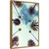 Amanti Art Palm Sky 2 by Design Fabrikken Framed Canvas Wall Art -Amanti Art Shop GUEST a2fb60d4 f3d8 4e86 850a 5116ec0d6a03
