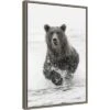 Amanti Art Bear Fishing For Salmon Framed Canvas Wall Art by Adam Jones