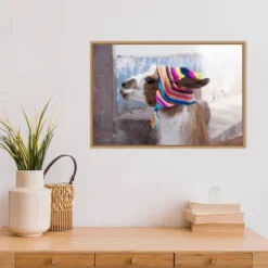 Amanti Art 23" x 16" Llama With Colorful Hat Framed Canvas Wall Art by Jutta Riegel -Amanti Art Shop GUEST aa6e0541 fe87 4b38 bfac 88874aa9297e