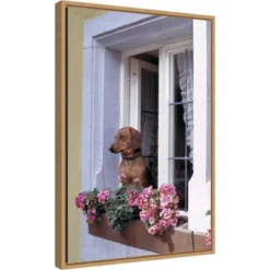Amanti Art "How Much Is That Dachshund In The Window?" Framed Canvas Wall Art by Ric Ergenbright