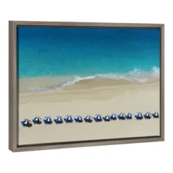 Amanti Art "Untitled" by Ina Dabi - 23" x 16" Framed Canvas Wall Art with Sylvie Gray Wash Float Frame