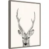 Amanti Art Animal Mug IV Deer by Victoria Borges Framed Canvas Art -Amanti Art Shop GUEST b0368038 0050 4144 b380 421f9e7061ae