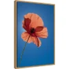 Amanti Art 16" x 23" Poppy Flower Framed Canvas Wall Art by Michele Niles