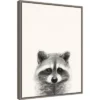 Amanti Art "Animal Mug II" Raccoon Framed Canvas Wall Art by Victoria Borges - 18" x 24" Gray Float Frame -Amanti Art Shop GUEST c325d4a1 4d3f 4149 948e 450e80551b2c
